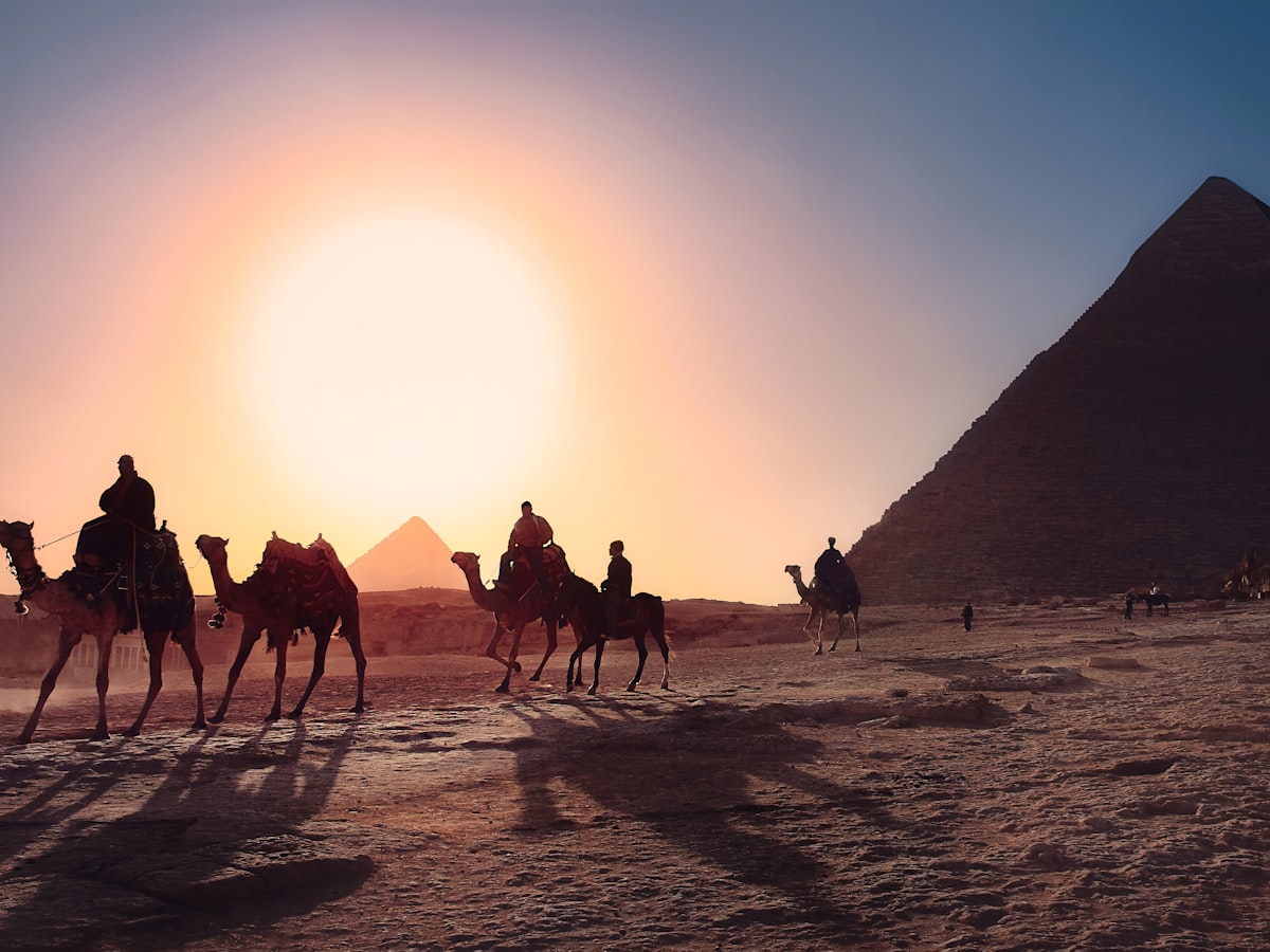 Camel and desert excursion in Egypt