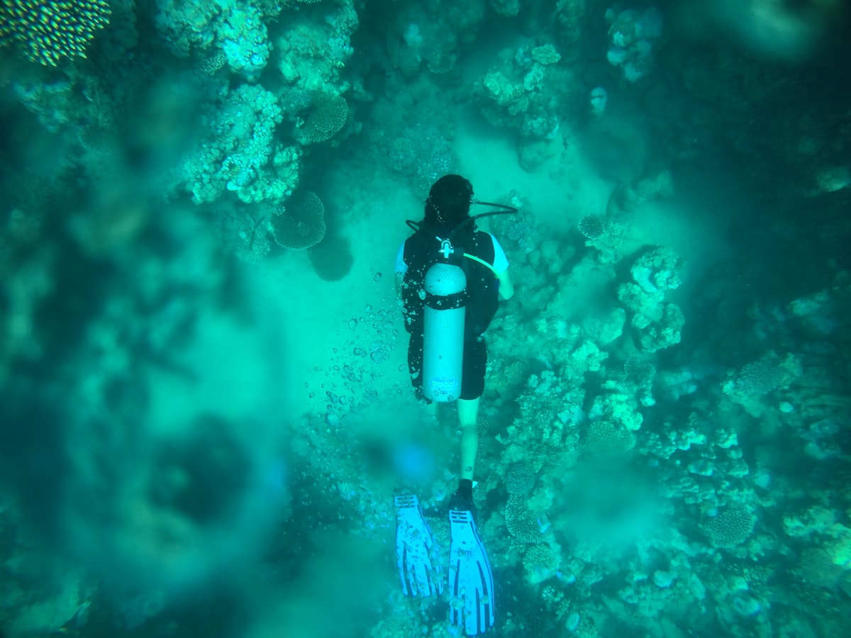 Scuba diving the Red Sea